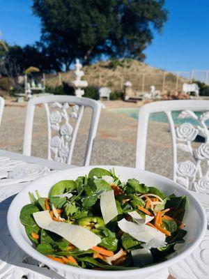 Spinach Banh Mi spicy salad, Go Greens!