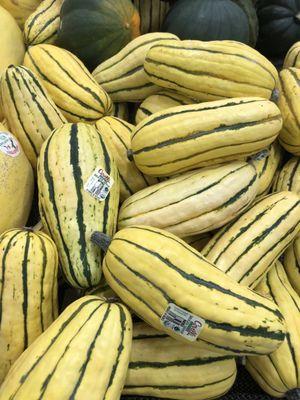 Delicata squash