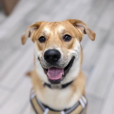 Malcolm on his first day of training!