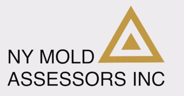 New York Mold Assessors Inc