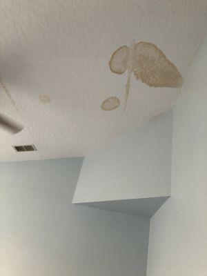 More ceiling damage