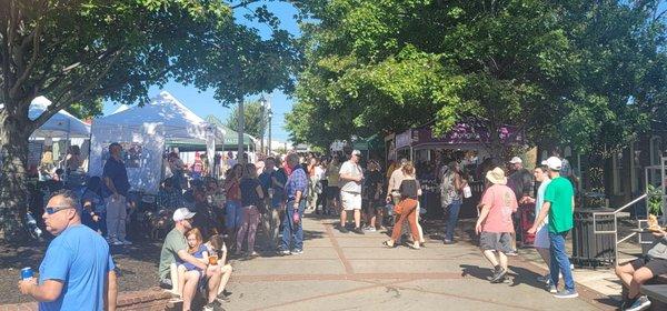 Downtown Duluth has a natural beautiful quality that the festival blends right into.