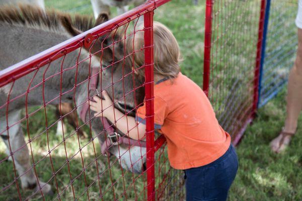 The Sachse Public Library always has great Summer Reading Activities! Love the petting zoo!