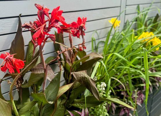 Patio planter