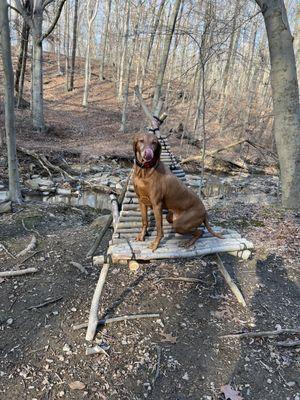 Cool chairs built towards the end of the blue trail!