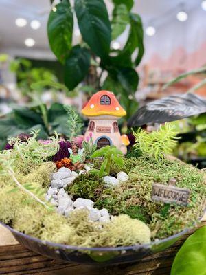 Fairy Garden