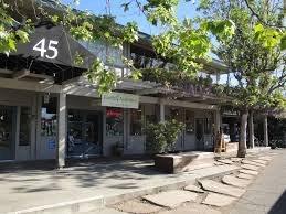 19 Commercial Units in Mill Valley