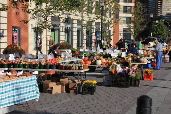 Historic Downtown Jersey City Farmers' Market