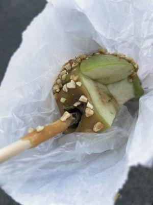 Mold on caramel apple.