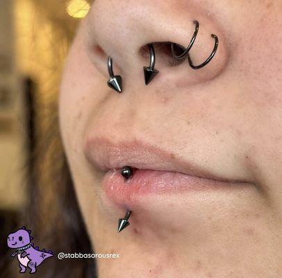 Stabbasorousrex Piercings