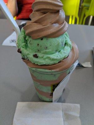 Mint chocolate chip with chocolate soft serve