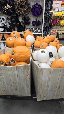 Pumpkins.