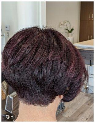 Violet color with Vidal Sassoon precision haircut.