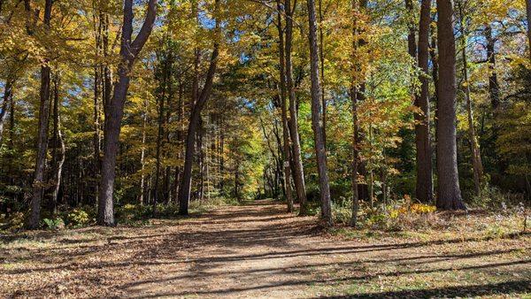 Little Pond Boardwalk Trail