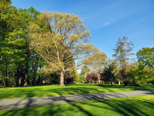 Puritan Lawn Memorial Park