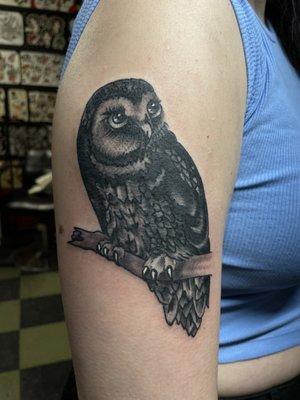 Owl Tat