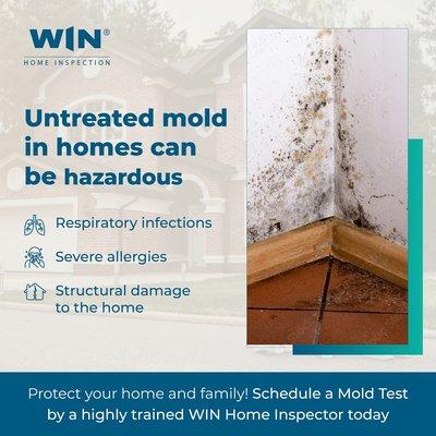 We now offer Mold Testing for our clients.