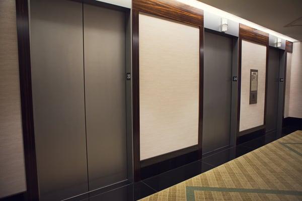 Elevators and wood refinishing on door panels - Interior