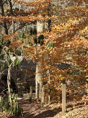 Bowman's Hill Wildflower Preserve