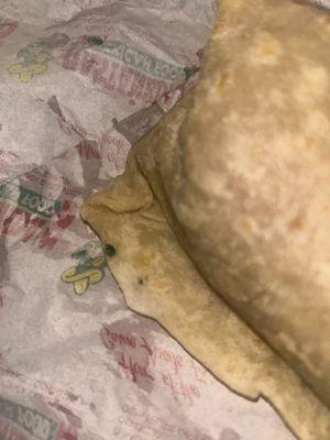 Moldy tortilla