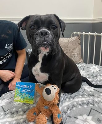 Bedtime Stories and Belly Rubs While Vacationing at Inn The Doghouse!