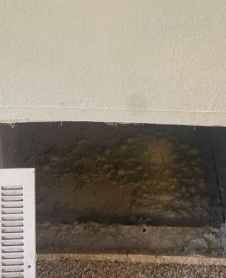 Condition of our AC vent upon move in. AC stopped working and techs who came out said it hadn't been cleaned in years.