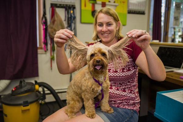 Our dog bathers have a lot of fun working with the pups.