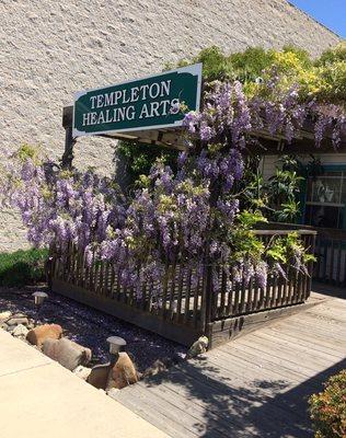 Templeton Healing Arts