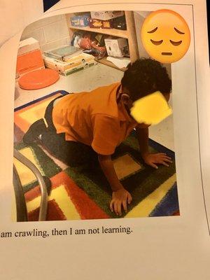 The book they made of my son.