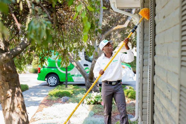 Part of our seasonal service we clean the spider webs and wasps nest from your home.