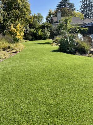 Backyard turf installed by Reborn Lawns.