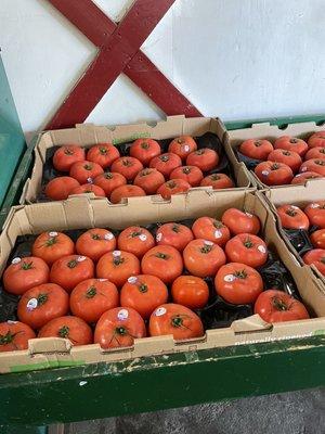 Ripe tomatoes