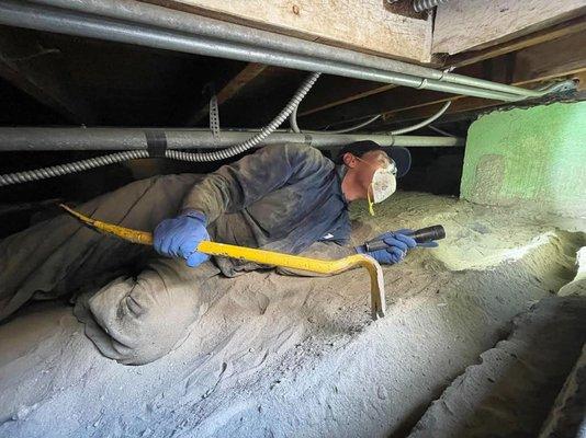 Behind the scenes of a subterranean termite treatment!