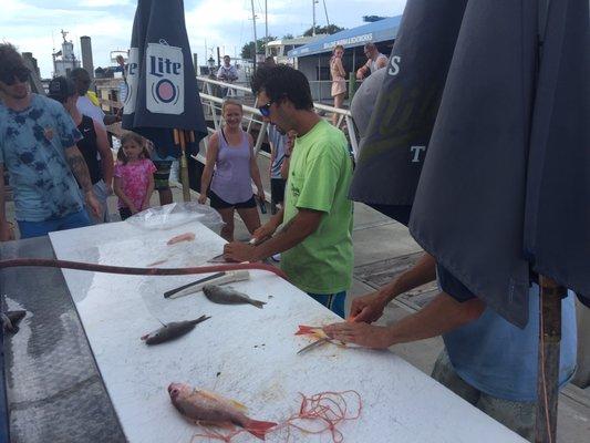 Filleting the fish