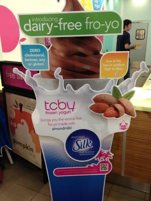 Dairy Free Fro-Yo!!