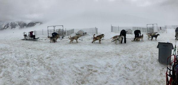 Alpine Air Alaska