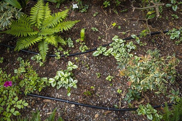 irrigation install