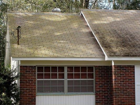 Shingle Roof in south tampa with green mildew before non pressure soft wash chemical application