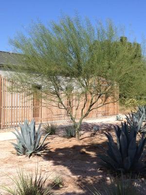 Claremont University Consortium Drought Tolerant Landscaping