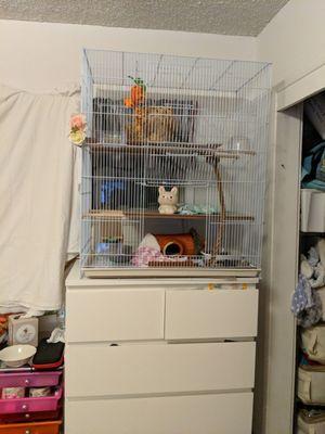 Great bird cage we modified for rats. What a great deal!!