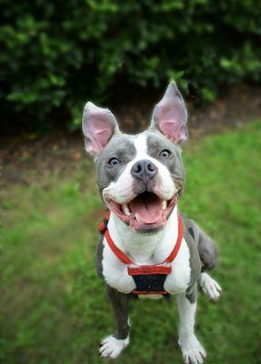 The day Buster was released, looking like a million bucks!