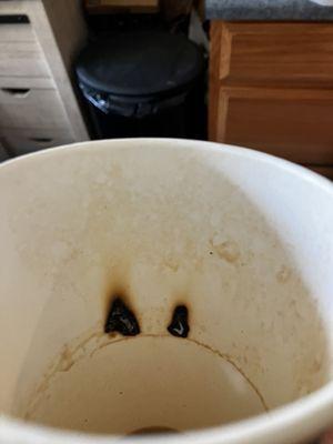 Cup burned through