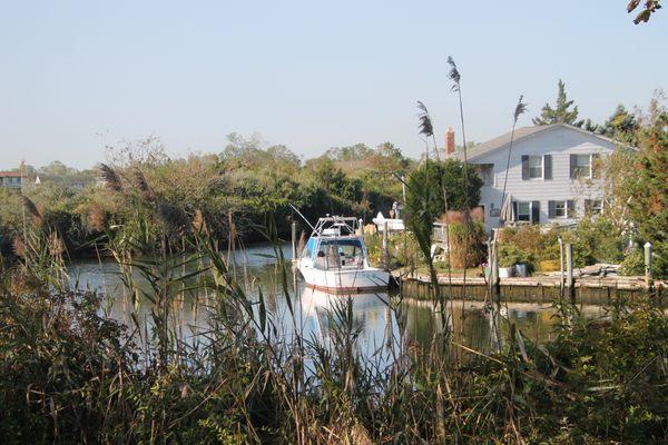 A peek at the canal