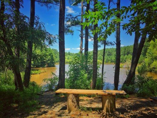 Summertime pond side views.