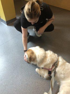 My dog getting calmed down by the wonderful staff while waiting to see the doctor.