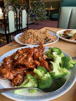 General Tao's Chicken and a house special fried rice.