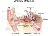 Vestibular therapy for dizziness