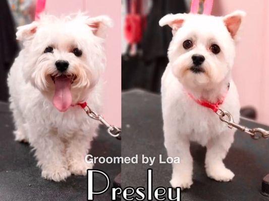 Presley got a full service groom