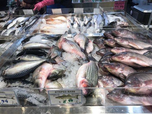 Array of fresh fish