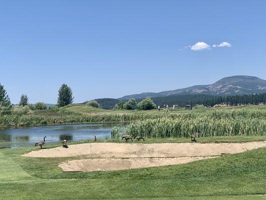 Whitehawk Ranch Golf Club